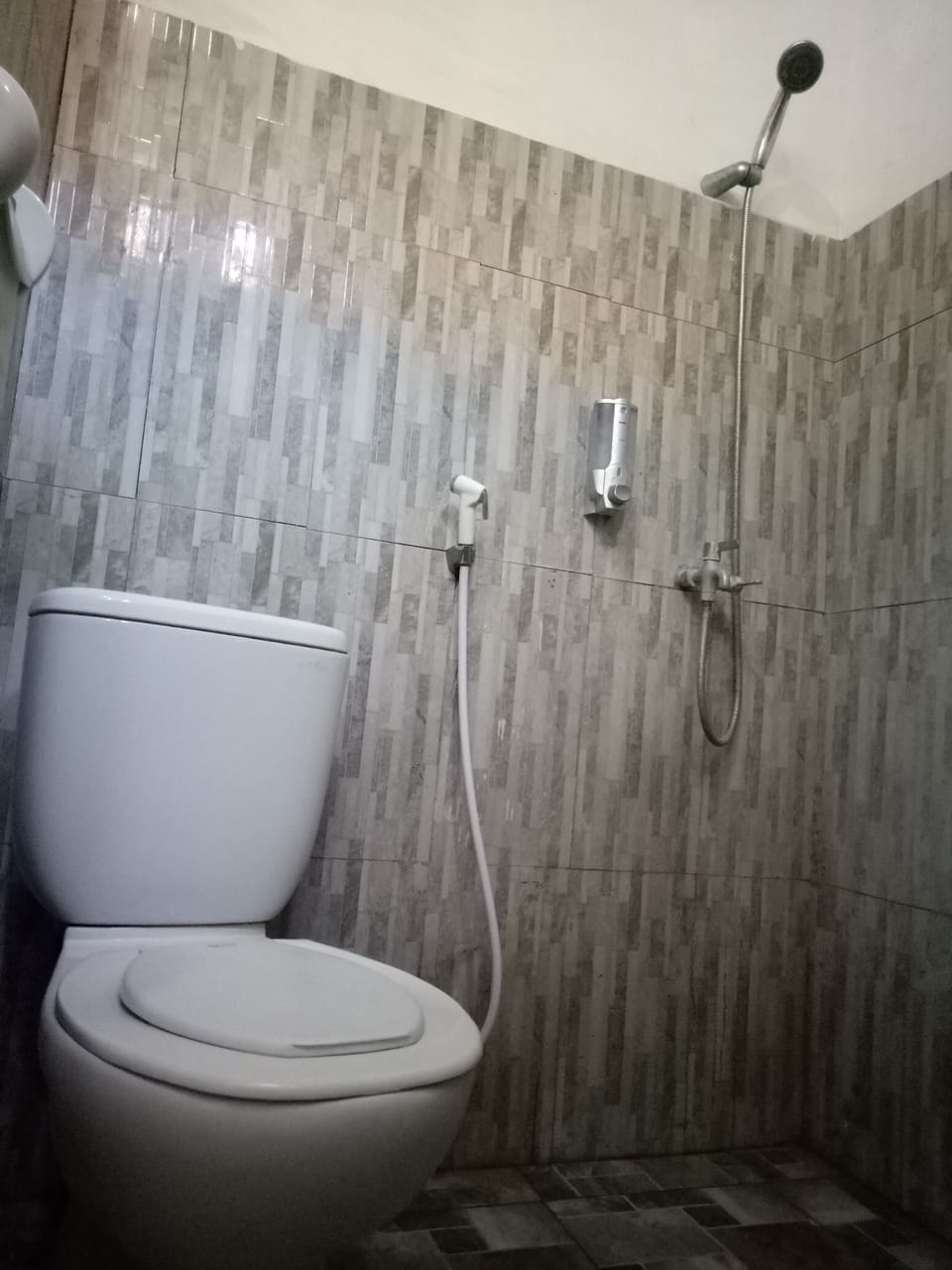 Deluxe Double Room | Bathroom | Shower, free toiletries, bidet, towels