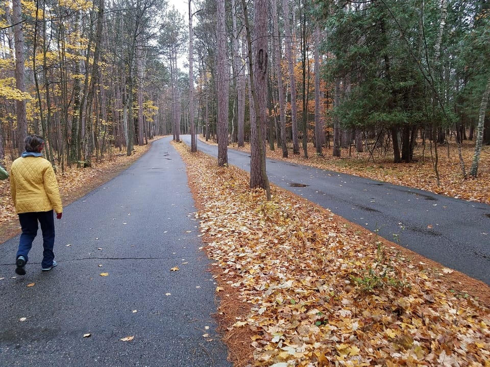 Enjoy nature while hiking in the park 