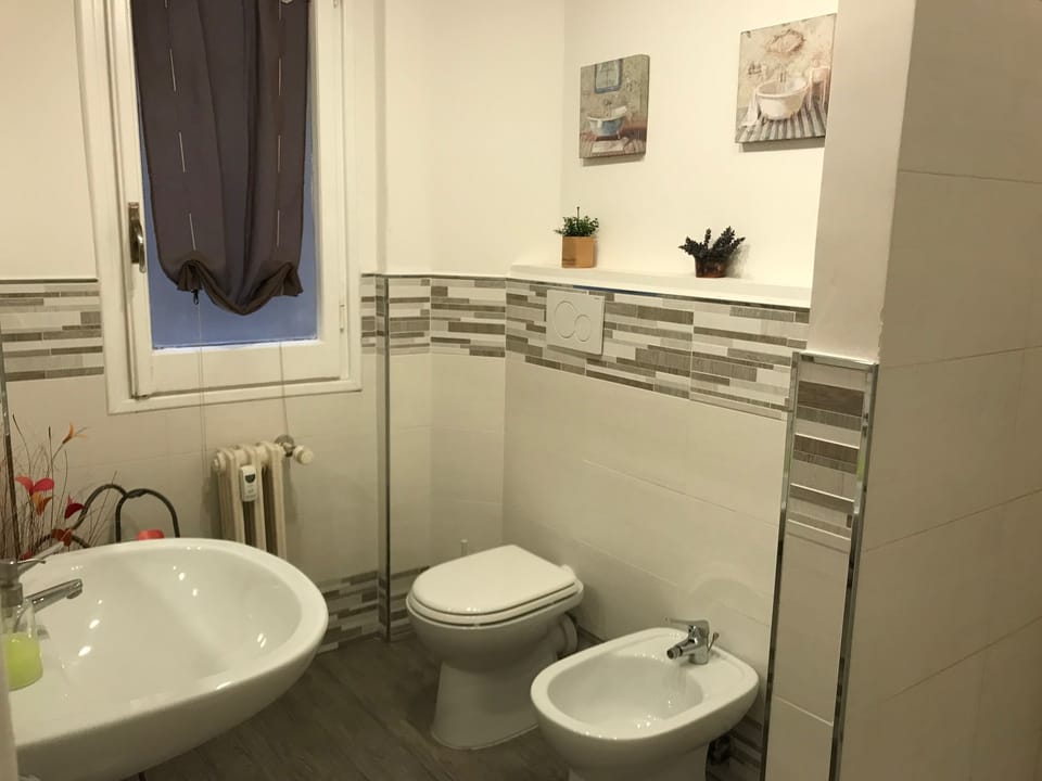 Shower, rainfall showerhead, hair dryer, bidet
