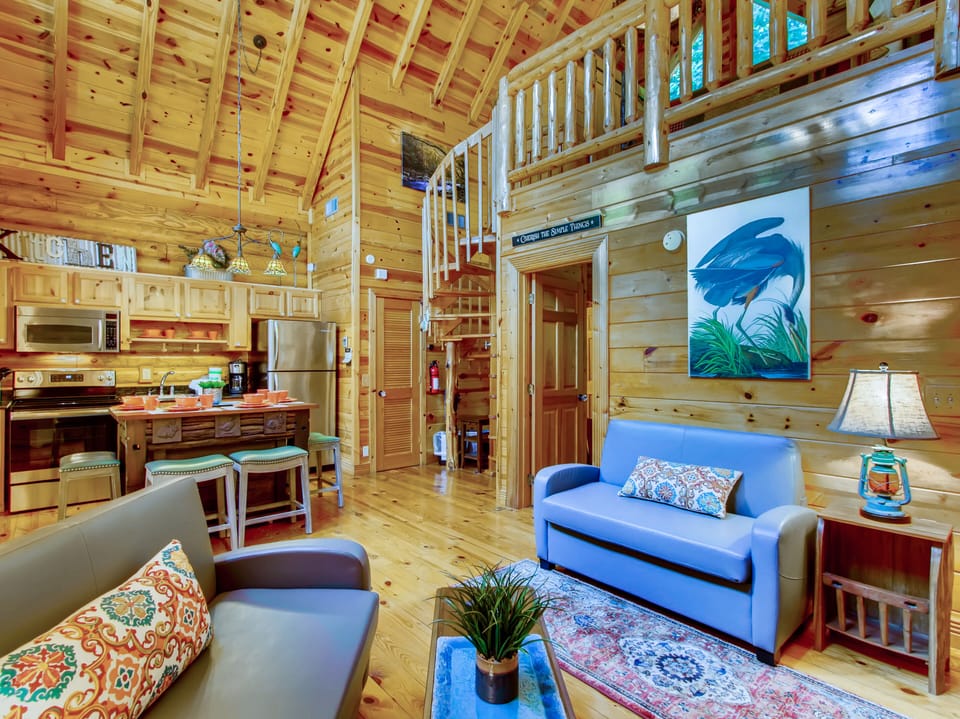Two Spacious Living Rooms - Professionally decorated "A River Adventure" Lodge is a dream for all travelers to the Smokies. There are two kitchens & dining centers, with plenty of outdoor seating also for your meals & grill outs!