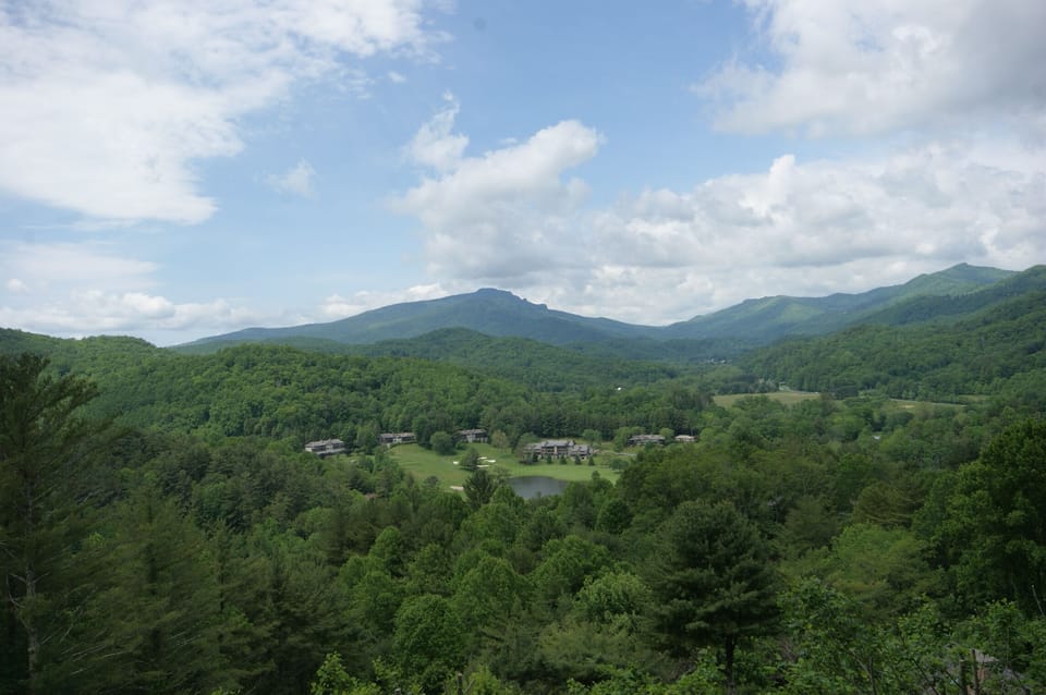 Your view from any room in the house!