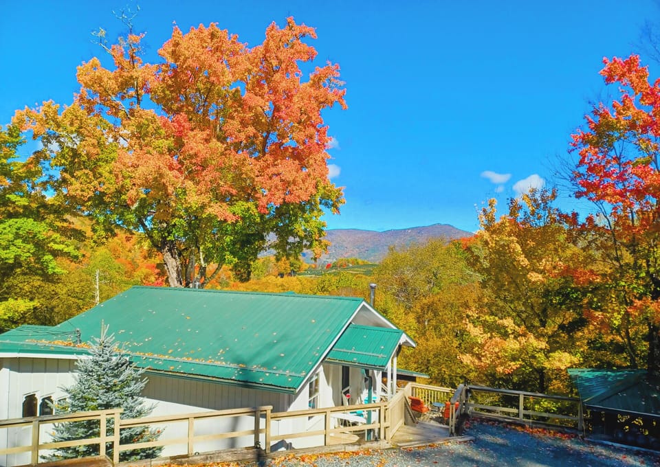 The hundred year old maple adorns the chalet in the fall
