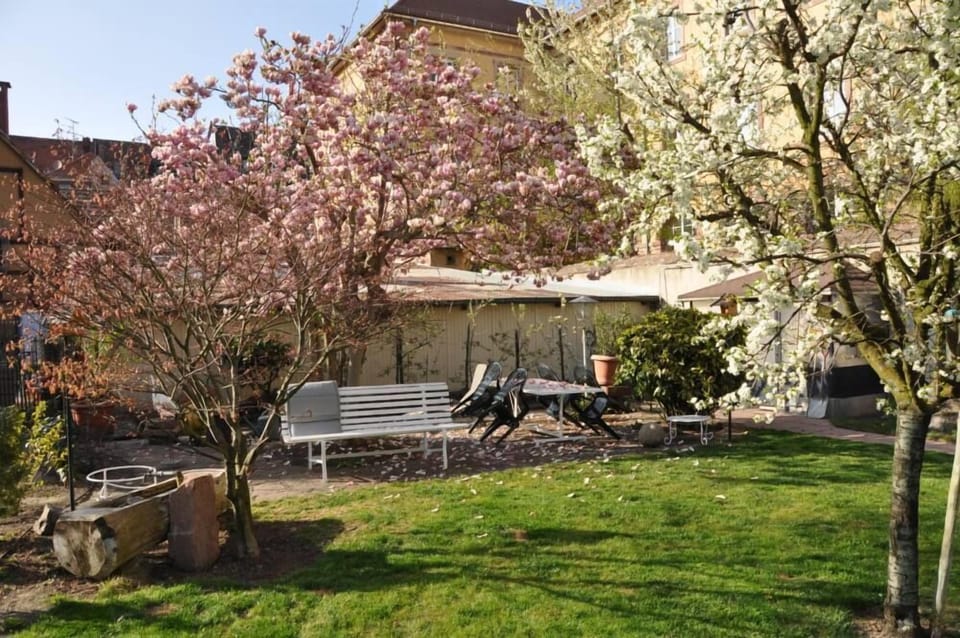 Garden, Park