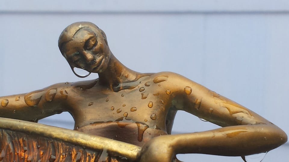 Todji created these sculptures right here 2000 - 2017.