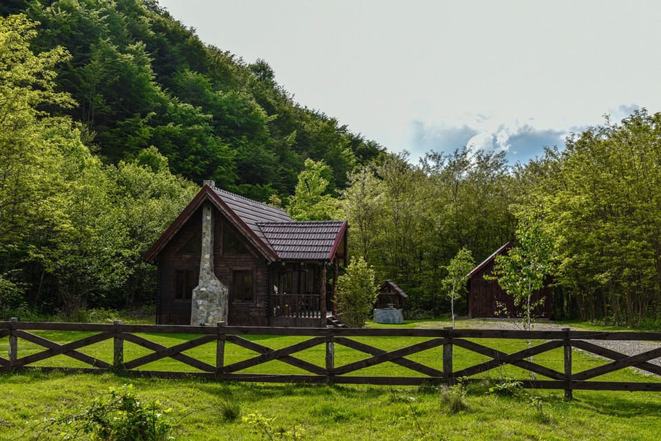 The Property... Nice big green yard with landscaping and trees.