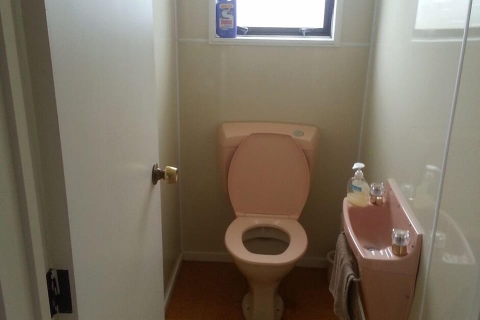 One of two separate toilets