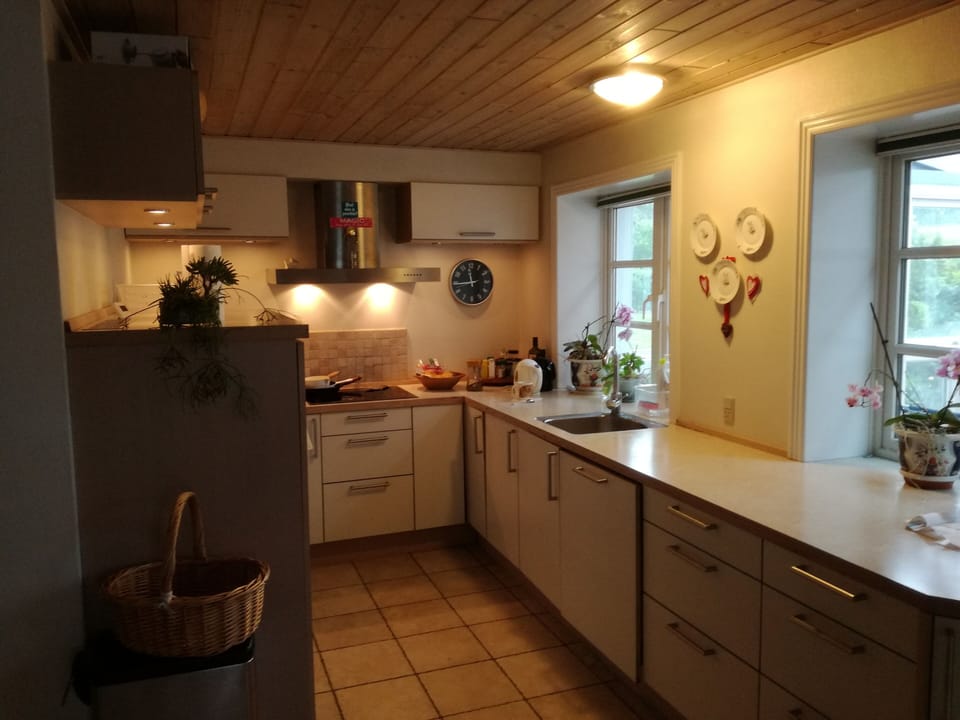 Clean Kitchen 