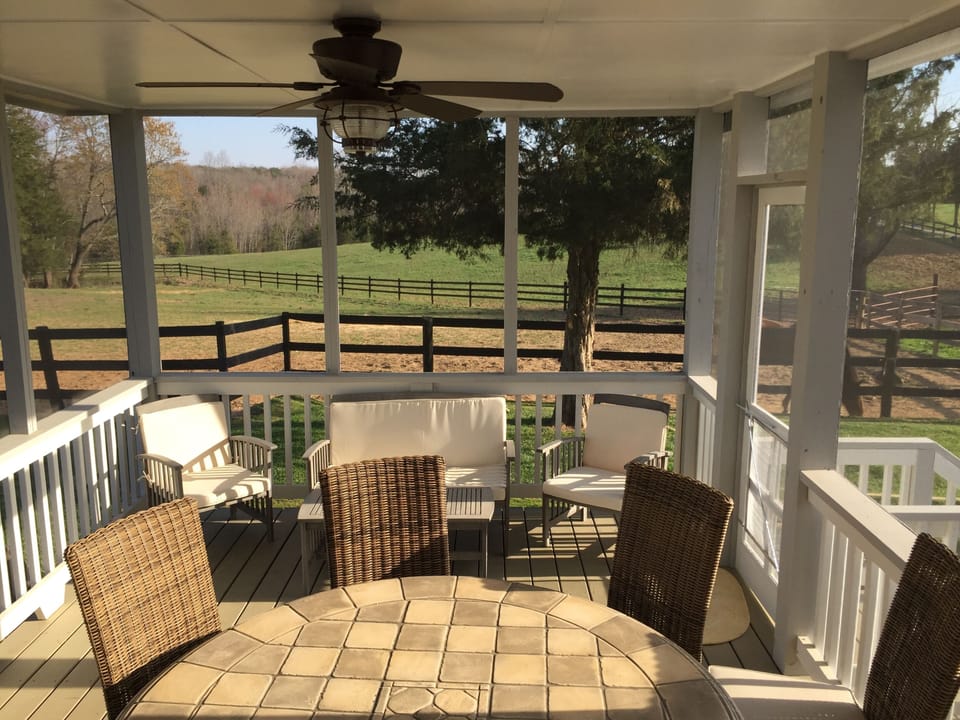 Your fabulous screened porch, with views.