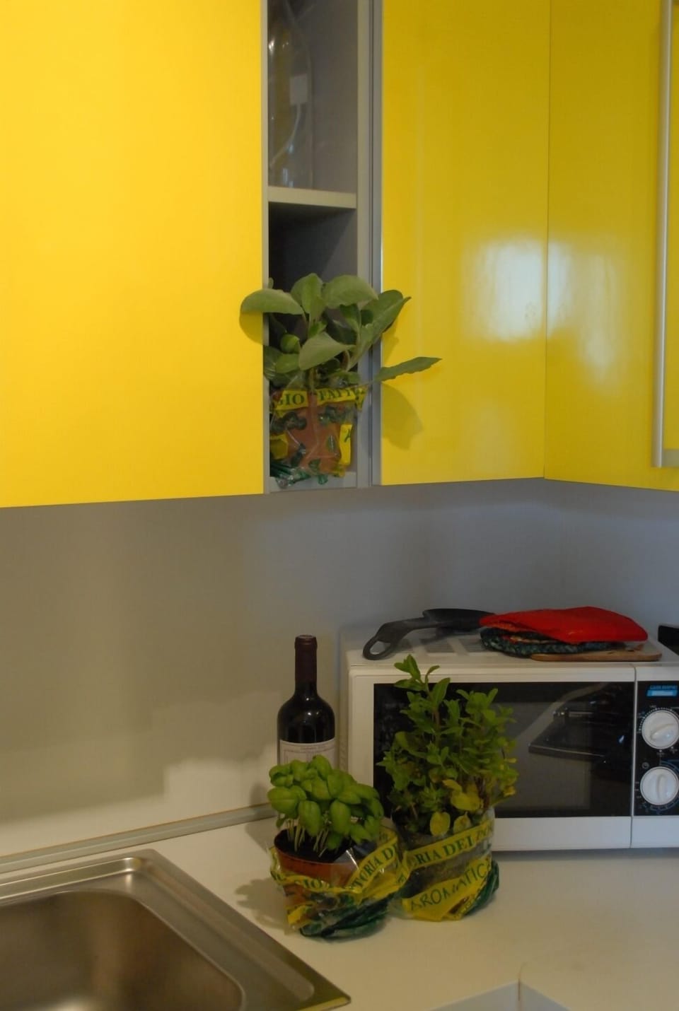 Herbs in the kitchen