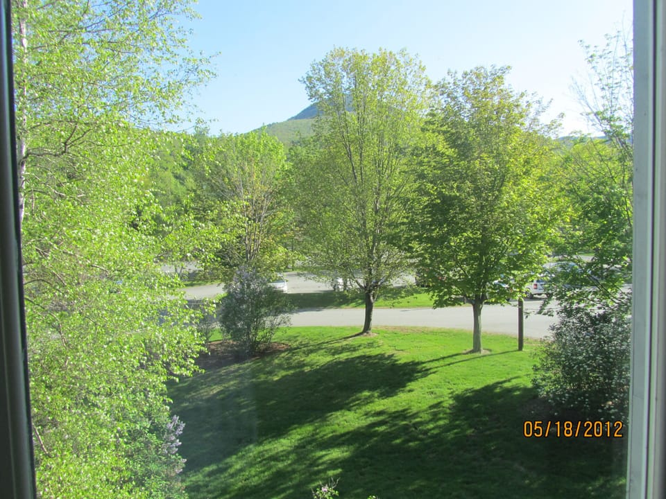 View from balcony 