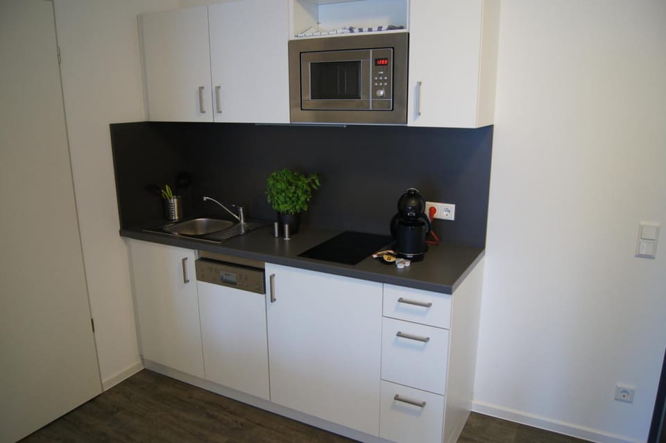 Microwave, stovetop, dishwasher, electric kettle