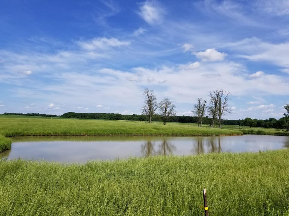 POND 3