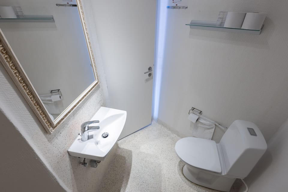 Single Room | Bathroom | Shower, hair dryer, towels