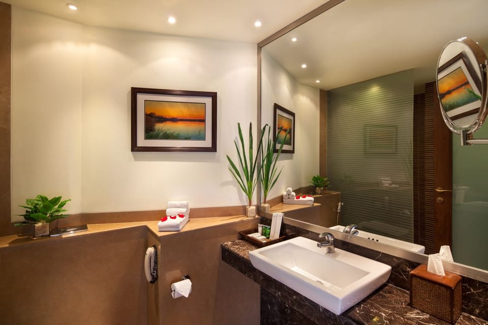 Deluxe Double Room | Bathroom sink