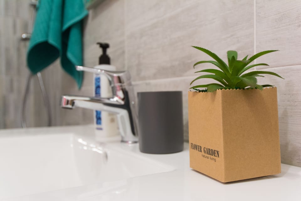 Shower, free toiletries, hair dryer, bidet
