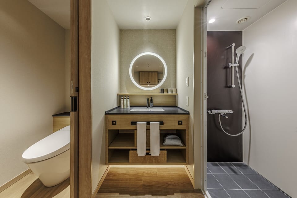 Hair dryer, slippers, electronic bidet, towels