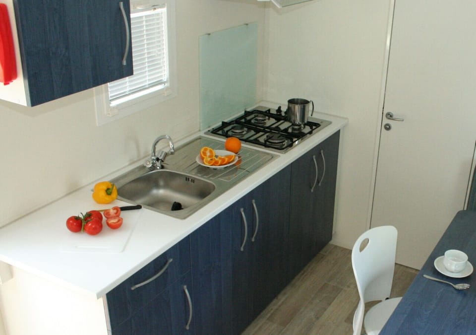 Standard Mobile Home | Private kitchen | Full-size fridge, stovetop, cookware/dishes/utensils, dining tables