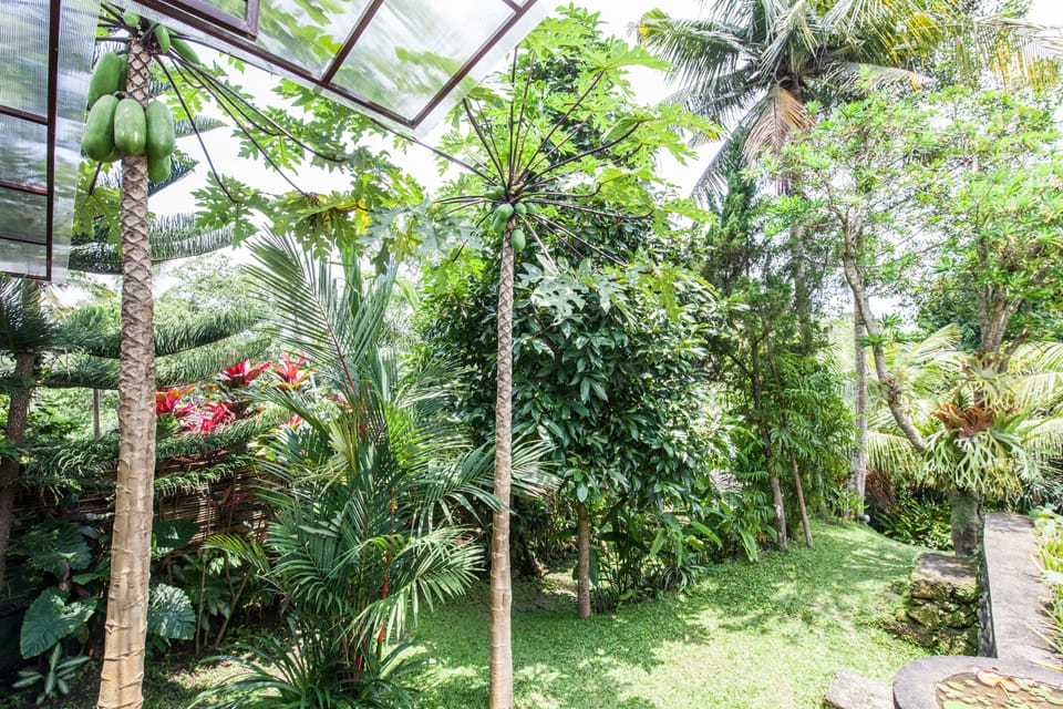 Traditional Villa, 2 Bedrooms, Garden Area | View from room