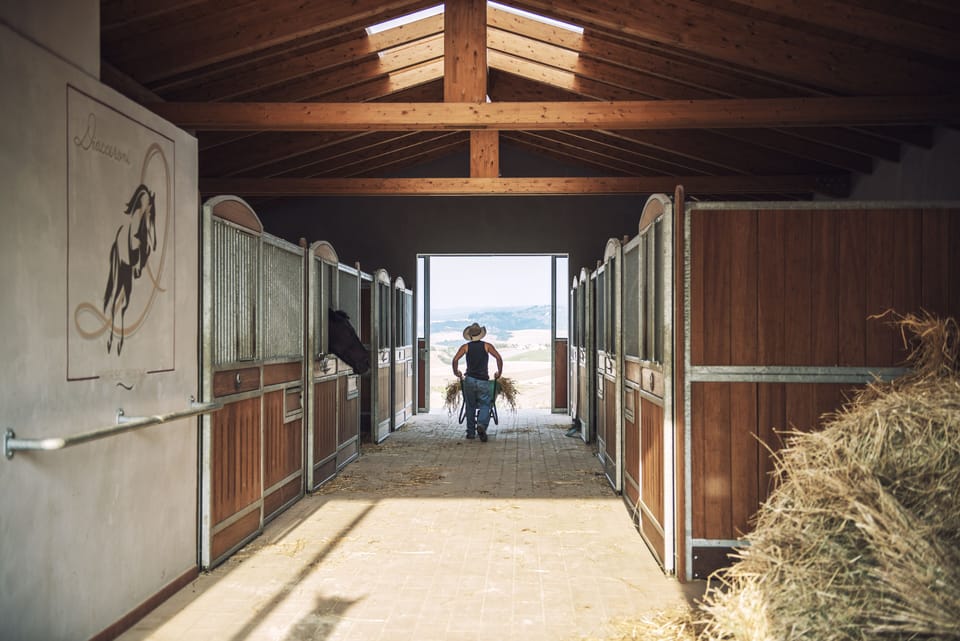 Horseback riding