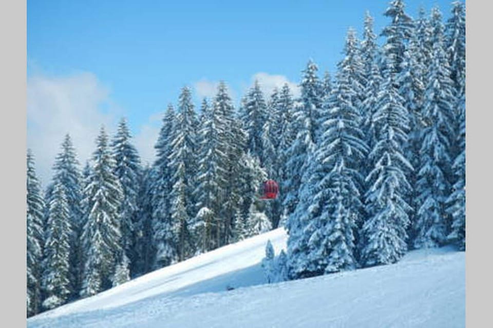 Ski hill