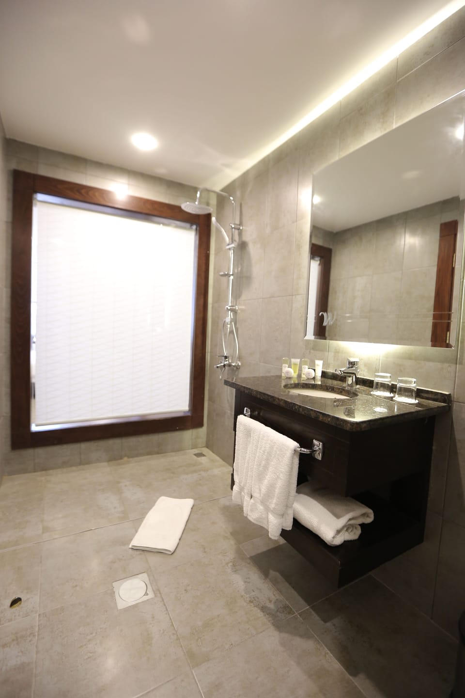 Shower, free toiletries, hair dryer, bidet