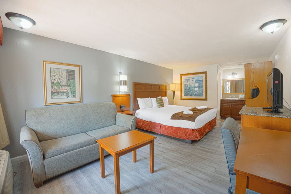 Standard Room, 1 King Bed, Non Smoking | Desk, blackout drapes, soundproofing, WiFi (free)