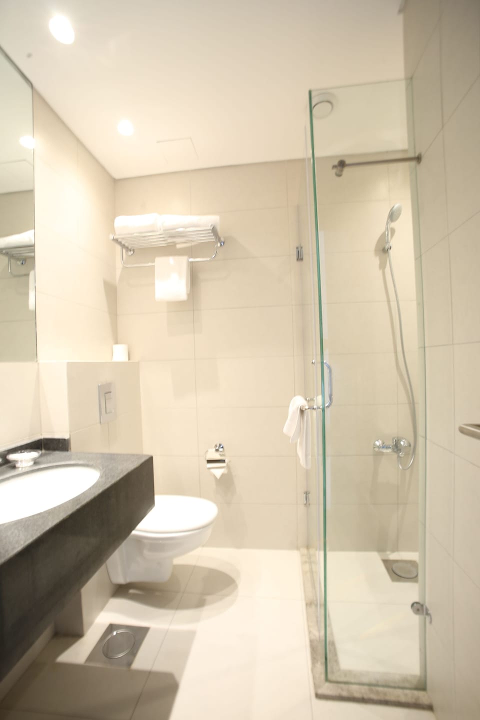 Shower, free toiletries, hair dryer (on request), slippers