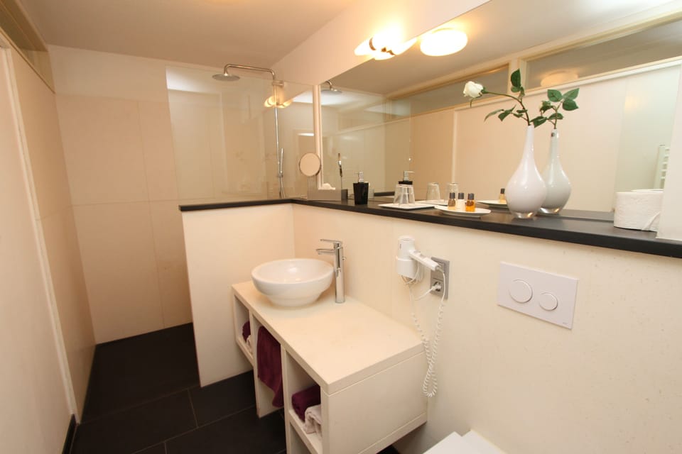 Junior Suite (Waterbed) | Bathroom amenities | Shower, hair dryer, towels