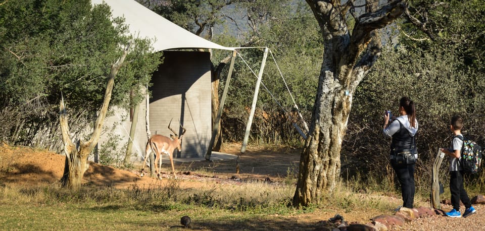 Marataba Safari Lodge Lodge in South Africa