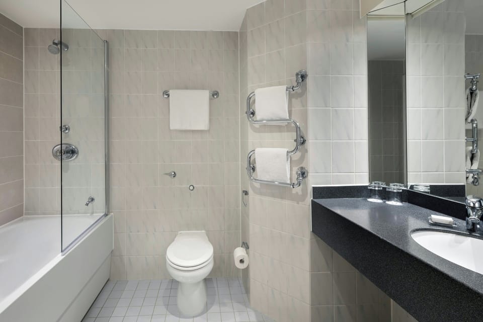 Combined shower/tub, free toiletries, hair dryer, towels
