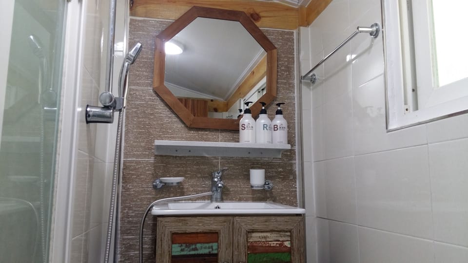 Family Room | Bathroom | Shower, free toiletries, hair dryer