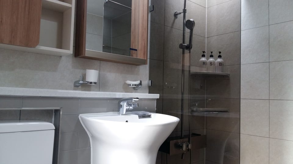 Shower, free toiletries, hair dryer