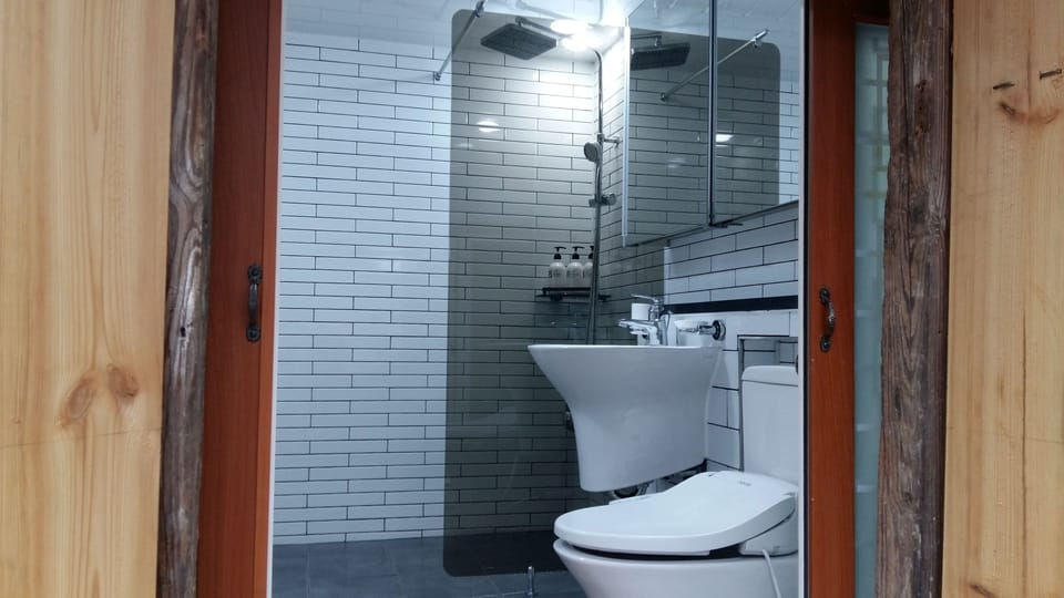 Shower, free toiletries, hair dryer