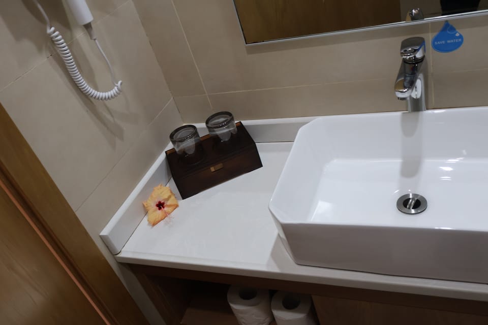 Suite | Bathroom | Shower, free toiletries, hair dryer, towels