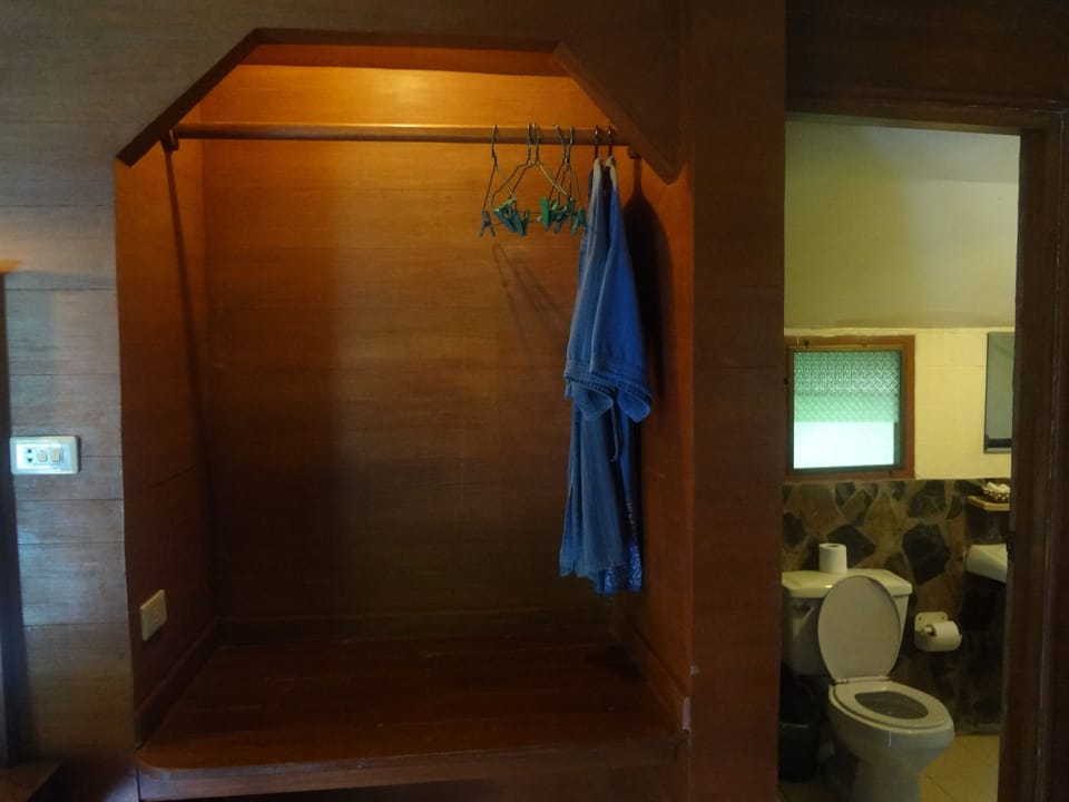 Deluxe Garden View | Room amenity