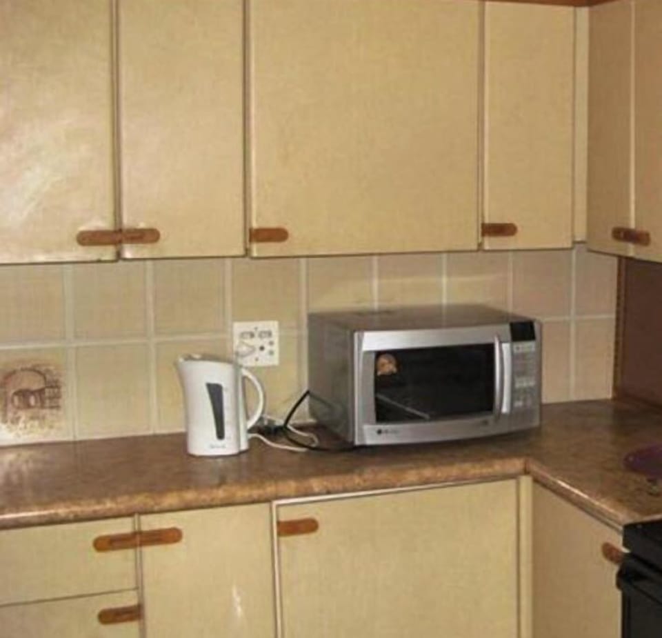 Full-size fridge, microwave, oven, stovetop