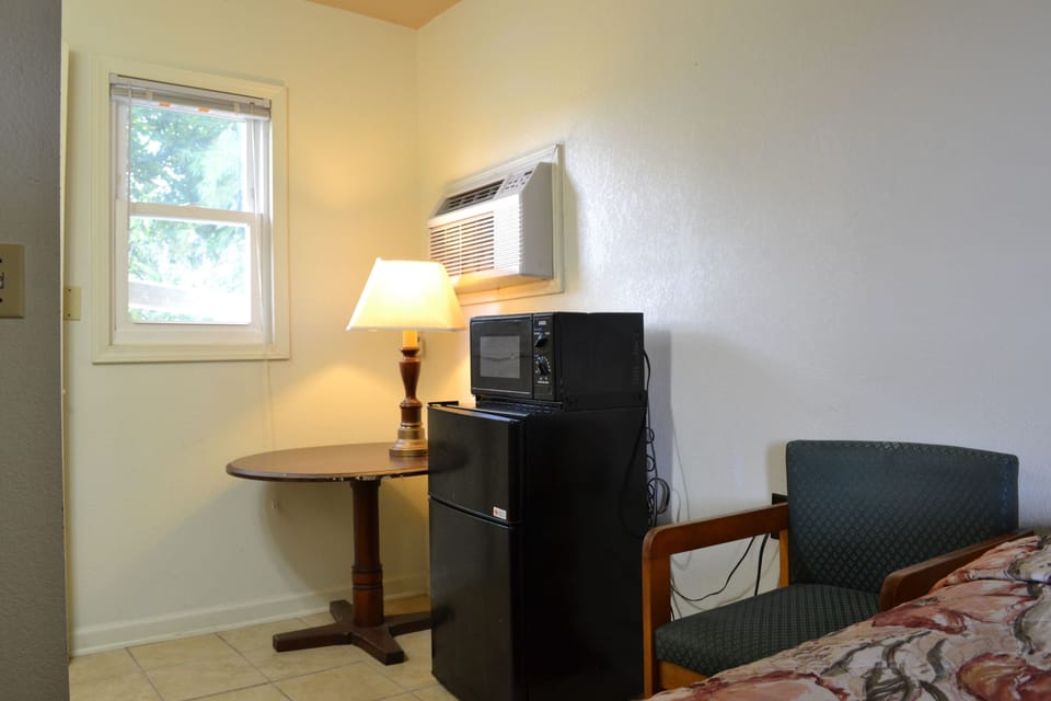 Mini-refrigerator