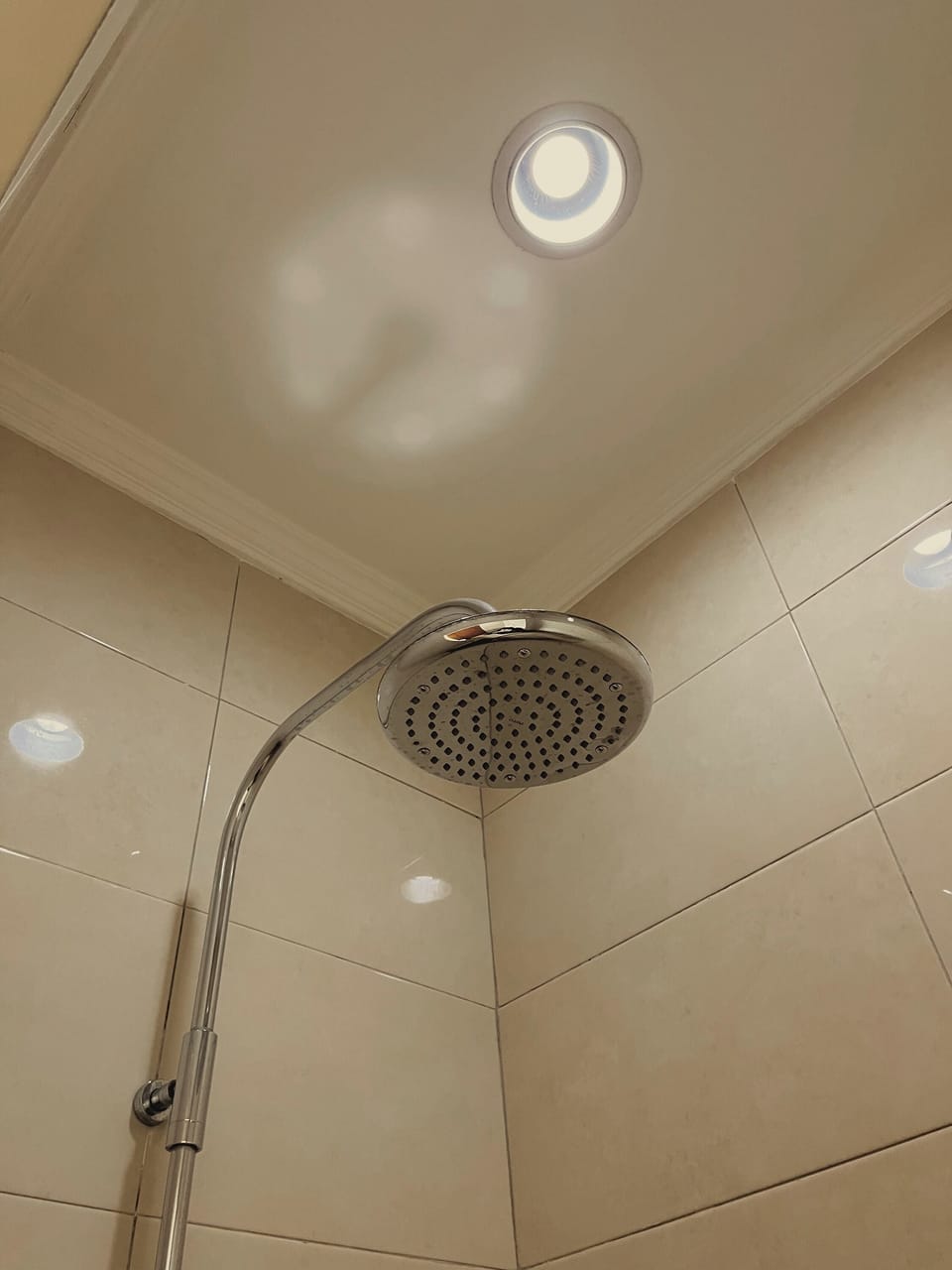 Executive Room | Bathroom | Shower, free toiletries, towels