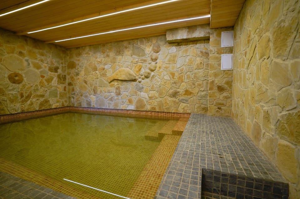 Felix Pension Hotel in Romania