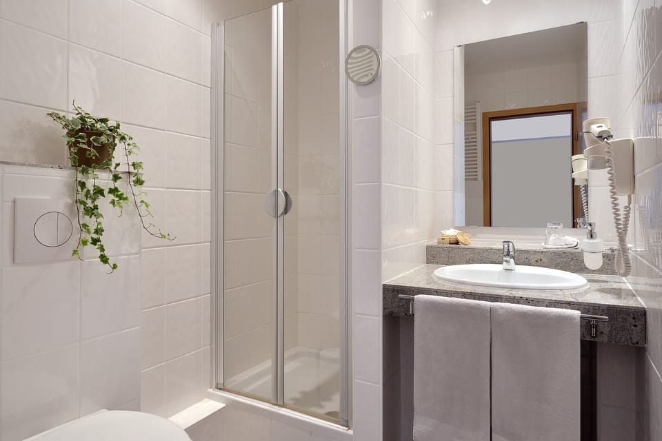 Standard Single Room (Mühle) | Bathroom | Shower, free toiletries, hair dryer, towels