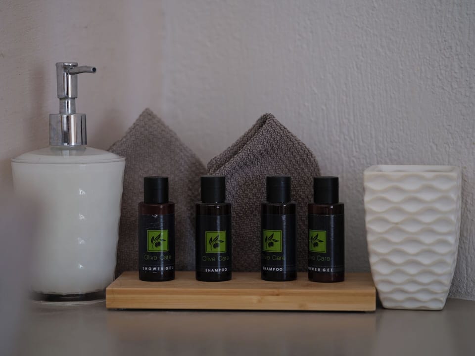 Shower, rainfall showerhead, free toiletries, hair dryer