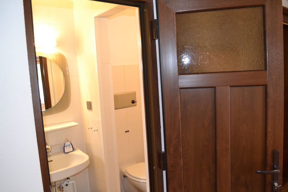 Triple Room | Bathroom | Shower, hair dryer, slippers, towels