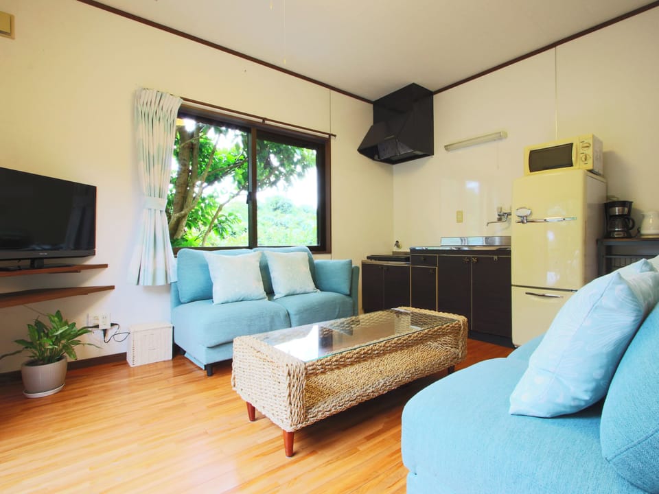 Flat-screen TV