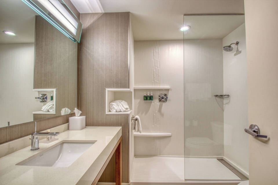Combined shower/tub, free toiletries, hair dryer, towels