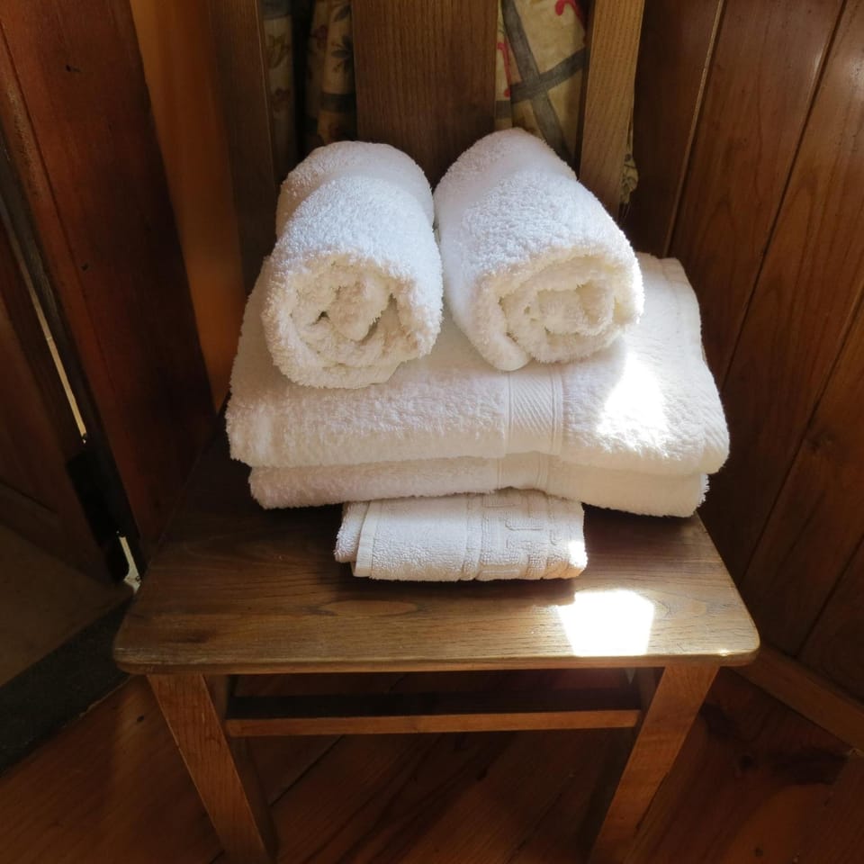 Free toiletries, hair dryer, bidet, towels