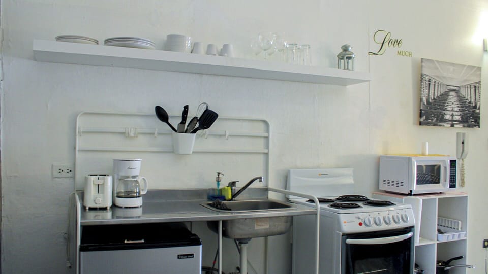 Apartment, 1 Bedroom | Private kitchen | Fridge, microwave, oven, stovetop