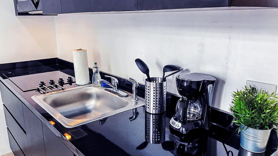 Apartment, 1 Queen Bed with Sofa bed | Private kitchen | Fridge, microwave, stovetop, coffee/tea maker