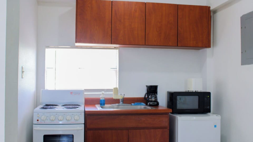 Apartment, 1 Queen Bed with Sofa bed | Private kitchen | Fridge, microwave, oven, stovetop