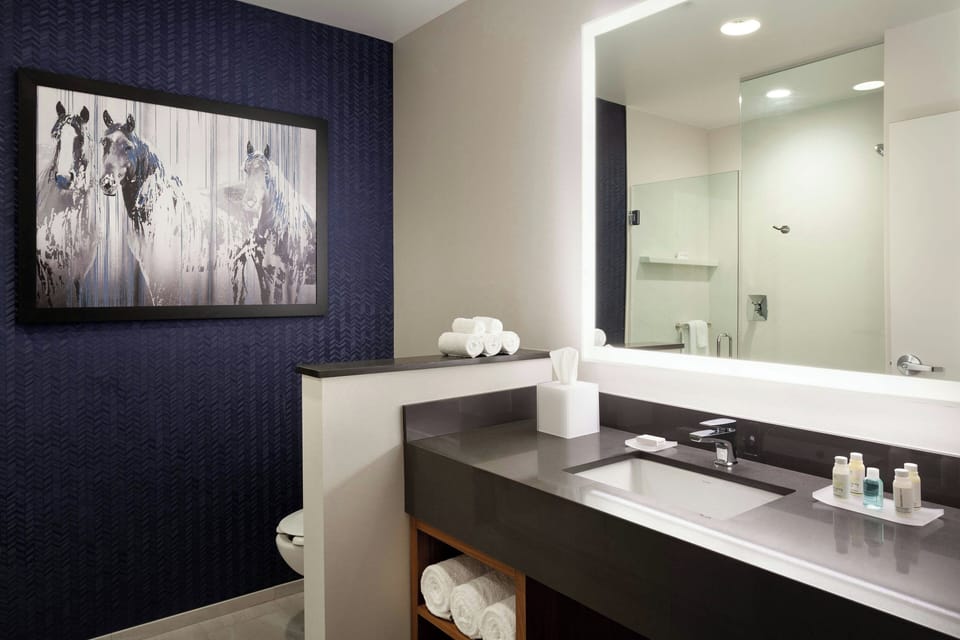 Combined shower/tub, free toiletries, hair dryer, towels