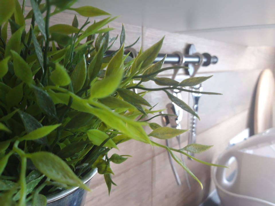 Deluxe Studio, Non Smoking, Kitchenette | Private kitchen